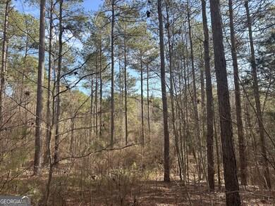 0 Ruckersville Rd unit 10490441, Elberton, GA 30635 - photo 6