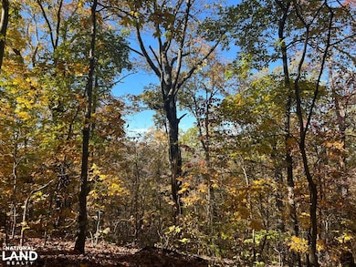 0 Polly Mountain Rd unit 25503304, Madisonville, TN 37385 - photo 7