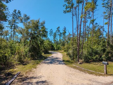 1720 Sugar Hill Ln, Steinhatchee, FL 32359 - photo 7