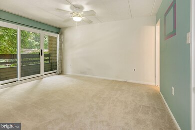 2102 Green Watch Way unit 200, Reston, VA 20191 - photo 7