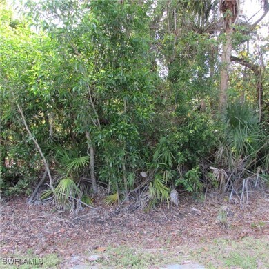 12348 Dolphin Rd, Pine Island Center, FL 33922 - photo 7