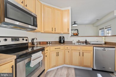 22641 Blue Elder Terrace unit 302, Ashburn, VA 20148 - photo 5