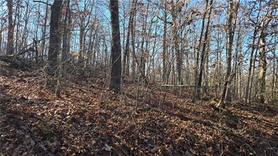 Lot 8 Embleton Dr, Bella Vista, AR 72714 - photo 2