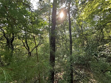 Light streams through the lot