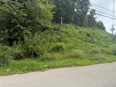 00 Kennedy Dr, Chavies, KY 41727 - photo 7