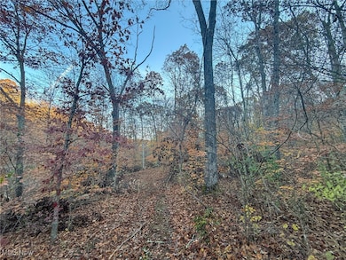 0 W Deaver Rd, McConnelsvle, OH 43756 - photo 2