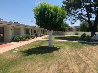 13607 N Newcastle Dr, Sun City, AZ 85351 - photo 4