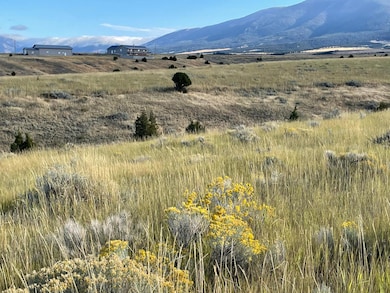 TBD S Fork Ray Creek Rd, Townsend, MT 59644 - photo 4