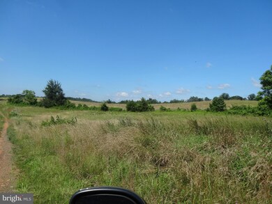 4 Meadow View Ln, Rixeyville, VA 22737 - photo 4