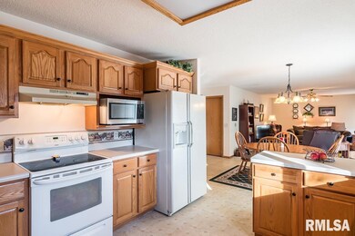 1317 W 51st St, Davenport, IA 52806 - photo 7