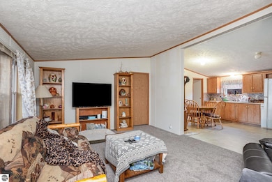 3700 N Brinton Rd, Weidman, MI 48893 - photo 2