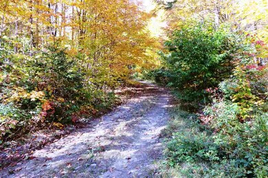 3801 Us Route 5, Sutton, VT 05867 - photo 3