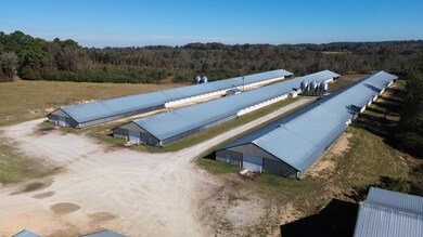 3050, Hackleburg, AL 35564 - photo 6