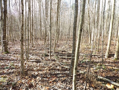 Lot 1 Cyrus Daniels Rd, Evensville, TN 37332 - photo 3