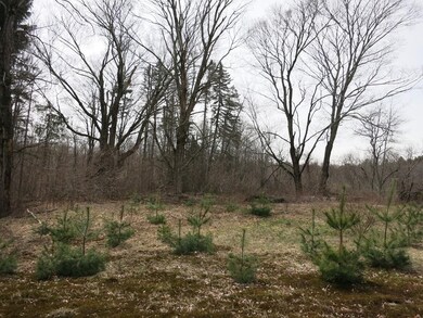 209 Wales Rd, Monson, MA 01057 - photo 4