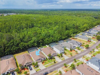 4714 Blue Diamond St, Kissimmee, FL 34746 - photo 4