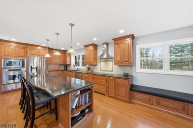 39 Miller Dr, Boonton, NJ 07005 - photo 7