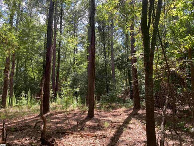 0 Sandy Springs Rd, Pelzer, SC 29669 - photo 7