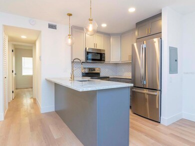 107 S Obrien St unit 118, Tampa, FL 33609 - photo 6