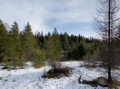 540 Destiny Bay Rd, Sagle, ID 83860 - photo 5