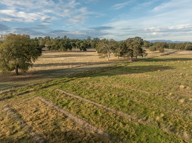 17720 Bowman Rd, Cottonwood, CA 96022 - photo 3