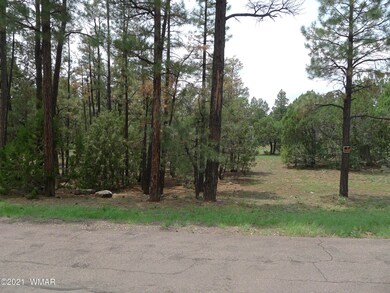 4940 S 32nd St, Show Low, AZ 85901 - photo 3