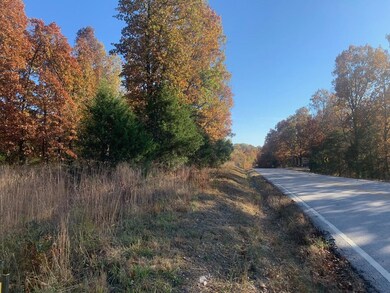 Tbd State Hwy 76, Shell Knob, MO 65747 - photo 4