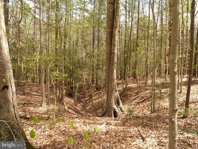 0 Reservation Ln, Reedy Church, VA 22546 - photo 4