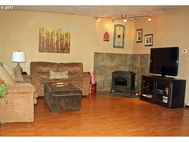 Fireplace Pellet Stove