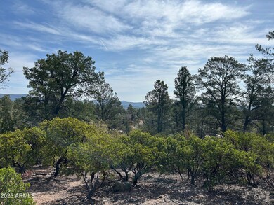 1703 E Redbud Ct unit 878, Payson, AZ 85541 - photo 4