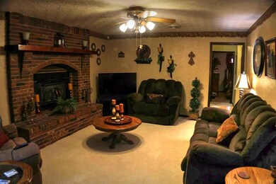 1011 S Elm St, Mountain View, MO 65548 - photo 7