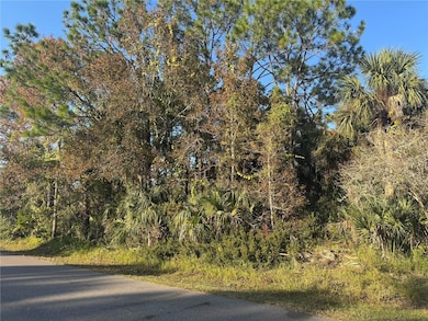 30 Pony Express Dr, Palm Coast, FL 32164 - photo 5