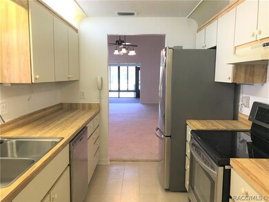 186 E Glassboro Ct unit 4A, Hernando, FL 34442 - photo 4