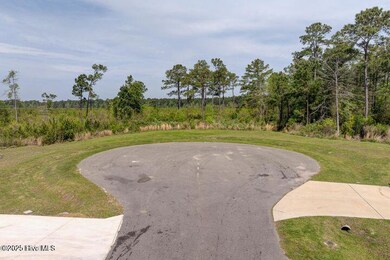 0 Hardison Rd unit 100517820, Holly Ridge, NC 28445 - photo 2