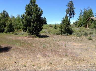 19522 SW Green Lakes Loop, Bend, OR 97702 - photo 3