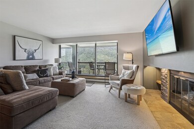 22097 Saints John Rd unit 2537, Keystone, CO 80435 - photo 4