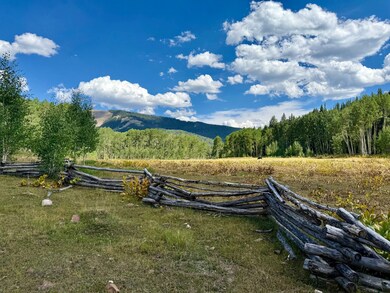 49404 Fs 567, Mancos, CO 81328 - photo 4