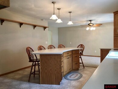 1015 N Broadway St, New Ulm, MN 56073 - photo 6