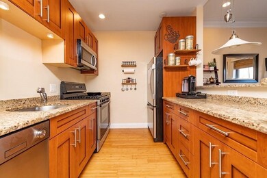13 Worcester Square unit 4, Boston, MA 02118 - photo 5