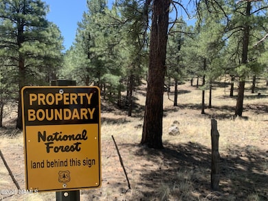 2343 E Del Rae Dr unit 176, Flagstaff, AZ 86001 - photo 6