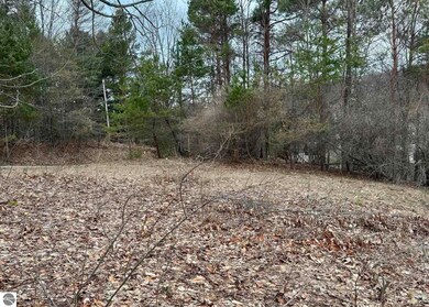 00 S Lake Shore Dr, Cedar, MI 49621 - photo 7