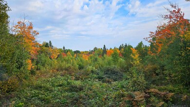 1541 Camp 20 Rd, Hovland, MN 55606 - photo 7