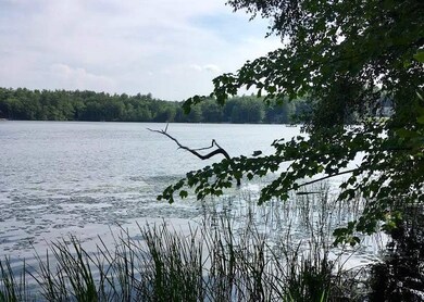 Lot 8 Basin, Tuftonboro, NH 03853 - photo 6