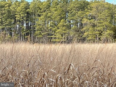 2434 Wesley Church Rd, Crapo, MD 21626 - photo 7