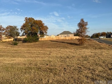 21 Summer Sky Dr, Greenbrier, AR 72058 - photo 2