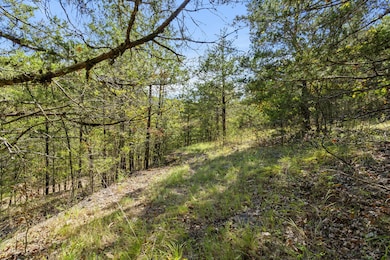 5-web-or-mls-DSC01134