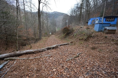 1067 Red Dog Rd, Grundy, VA 24614 - photo 7