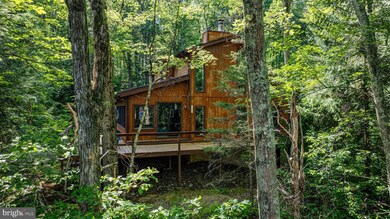 424 Iroquois Loop, Canadensis, PA 18325 - photo 4