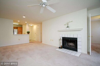 4403 Silverbrook Ln unit A102, Owings Mills, MD 21117 - photo 7