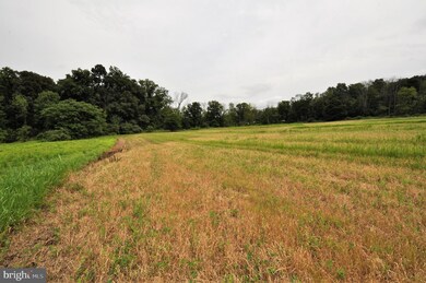 7433 Chestnut St, Zionsville, PA 18092 - photo 6